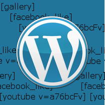 Come mostrare il numero di query e il tempo di caricamento della pagina in WordPress