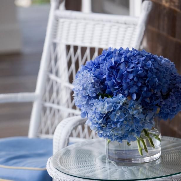 Flores de hortensia / Al aire libre