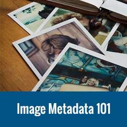 Immagine Meta Data 101 - Titolo, didascalia, testo alternativo e descrizione