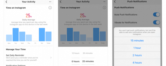 Instagram ahora realiza un seguimiento de cuánto tiempo estás perdiendo en Instagram / Noticias tecnicas