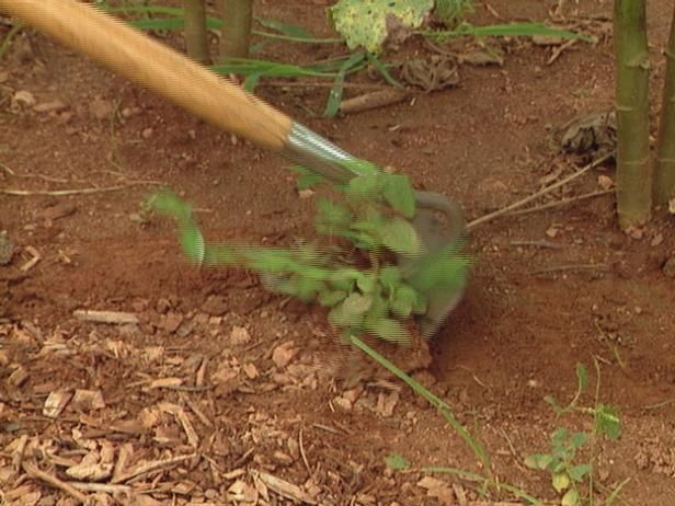 Halten Sie Gartenbetten unkrautfrei / Draußen