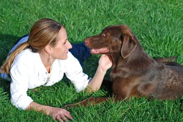 Landschaftsgestaltung für Hundebesitzer / Draußen