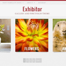 Lucky Winners van onze exposant WordPress Theme Giveaway / Nieuws