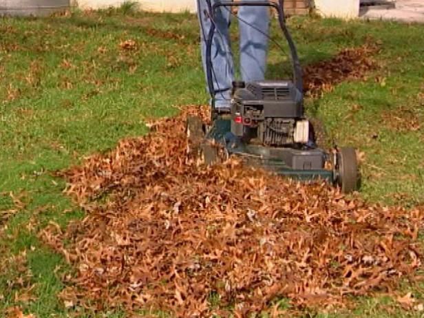 Mulching og Bagging vs Edging og Trimming / Utendørs