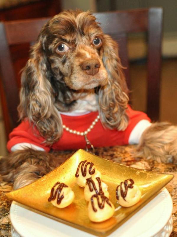 Beurre de cacahuètes Rêves Peats pour chiens / Faire et décorer