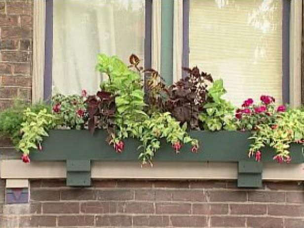 Plantando cajas de ventana para sombra / Al aire libre