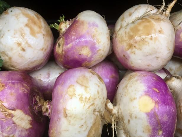 Plantes Rutabaga / En plein air