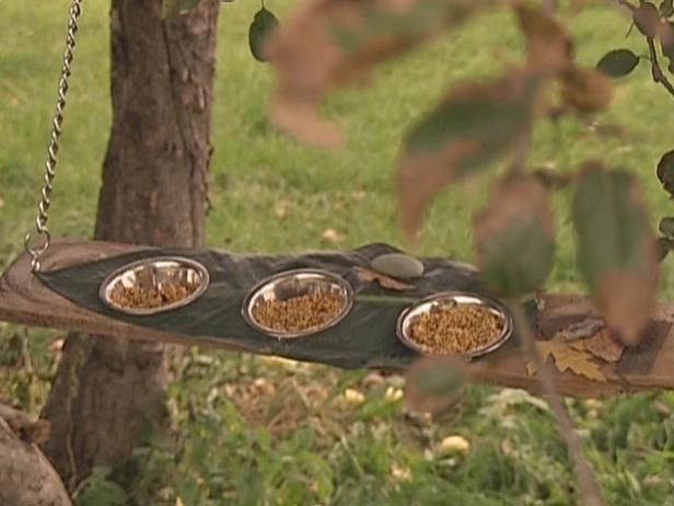 Swingin 'Bird Feeder / All'aperto