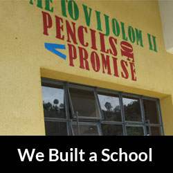 Grazie per il tuo supporto - We Built the School (Pictures) / notizia