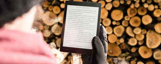 De 7 bästa tabletterna för att läsa digitala böcker / Underhållning