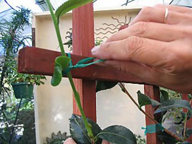 Jardineria vertical / Al aire libre