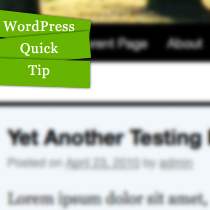 Video Legge til en annen meny til WordPress Twenty Ten Theme / Guider