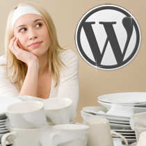 WordPress Plugin Spring Clean, det er ikke bare for våren!