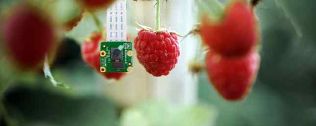 Hoe een Raspberry Pi-cameramodule in te stellen / DIY