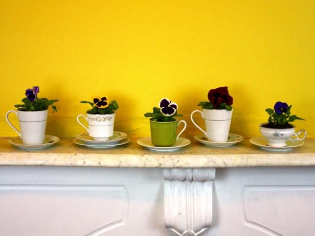 Cómo convertir tazas de té y platillos viejos en sembradoras de jardín / Hacer y decorar