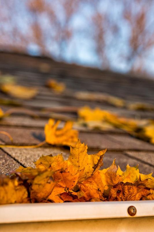 Tips for rengjøring og reparasjon av takrenner