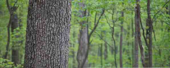 Comment les informaticiens respectueux de l'environnement économiser de l'argent / les fenêtres