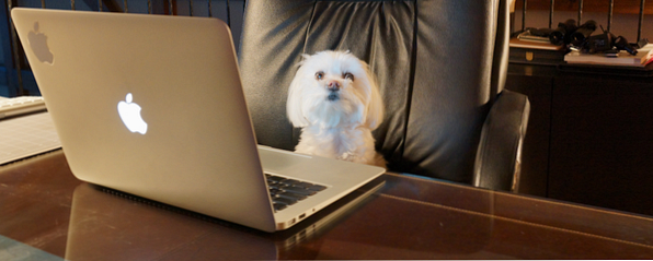 Heeft iemand je pc gebruikt? 3 manieren om te controleren