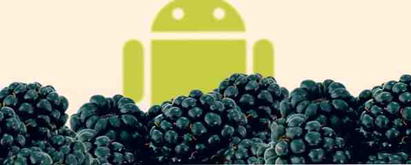 Du har din Android i min Blackberry - Så här kör du Android Apps på Blackberry OS 10