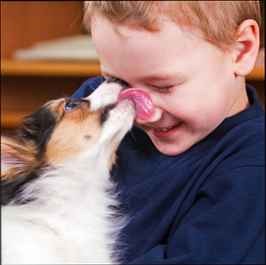 10 Puppy alla ricerca di servizi per trovare il tuo prossimo migliore amico / Internet