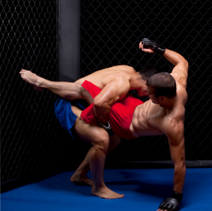 3 Websites om de records van je favoriete Mixed Martial Arts Fighters te vinden / internet