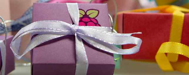 10+ idee regalo per chi possiede un Raspberry Pi / Fai da te