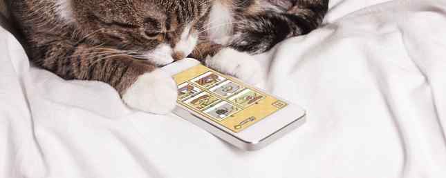 Älskar du katter? 8 Smartphone spel för Cat Lovers / Underhållning