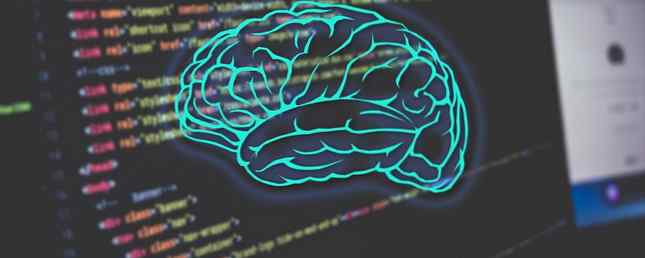 Wie die Programmierung Ihr Gehirn beeinflusst 3 Große Wahrheiten laut Wissenschaft