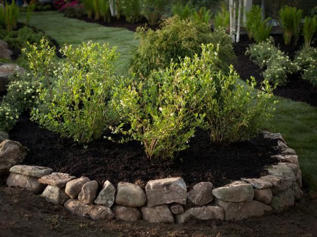 Cómo construir un jardín de bayas de cama elevada / Habilidades y saber hacer