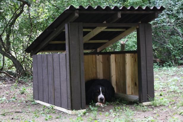 Hvordan bygge en open-air Doghouse / Ferdigheter og kunnskap