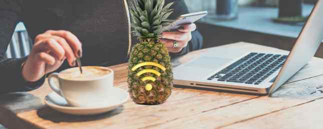Was ist eine WLAN-Ananas und kann dies Ihre Sicherheit gefährden?