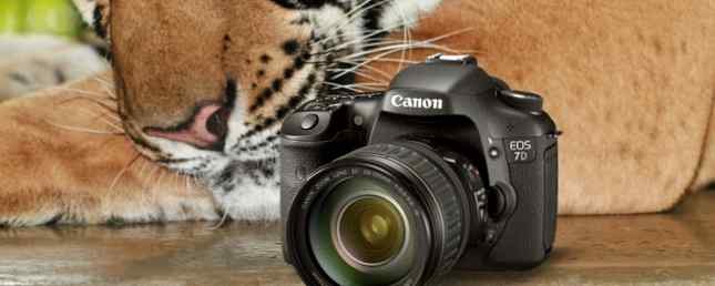 Fotografare Wildlife come un professionista con questi 6 consigli fantastici / Creativo