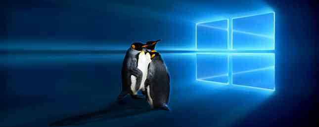 I 5 principali sistemi operativi Linux da provare in una macchina virtuale