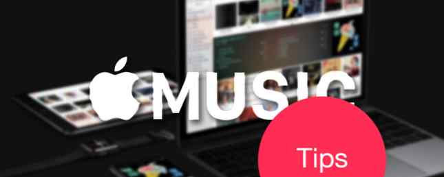 10 wichtige Apple Music-Tipps, die Sie wirklich wissen müssen / Unterhaltung