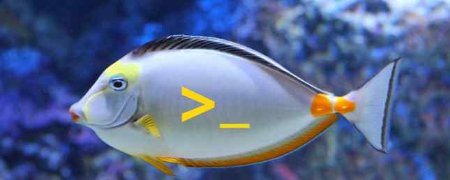 7 redenen waarom u de Fish Shell zou moeten installeren / Linux
