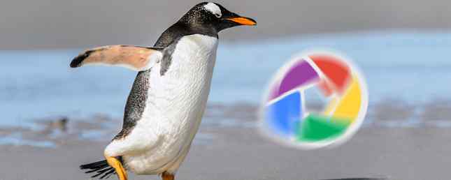 8 Picasa-alternativ gjorda för Linux / Linux