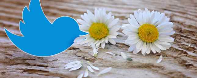 Waarom een ​​verandering in het algoritme de dood van Twitter zou zijn