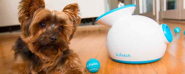6 productos automatizados para mascotas que facilitan ser dueño de una mascota / Casa inteligente
