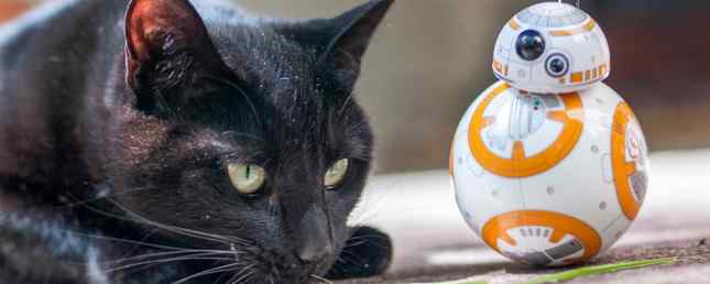 Feline Force Sphero Star Wars BB-8 Gjennomgang og Giveaway