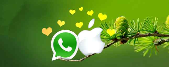 Comment installer Whatsapp pour Mac OS X Ce que vous devez savoir