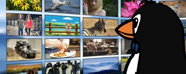 De huidige status van Video Streaming Services op Linux / Linux