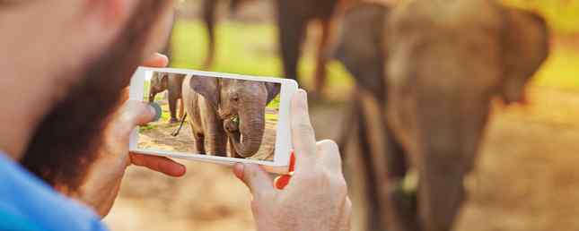 Este inteligente truco te permite almacenar más fotos en tu iPhone / iPhone y iPad