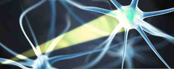 Brain Control With Light Det er mulig med Optogenetics / Fremtidig Tech