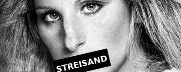 Wie Sie mit dem Streisand Secure Server gegen Zensur im Internet kämpfen können