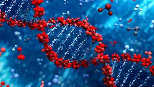 ADN-genoma