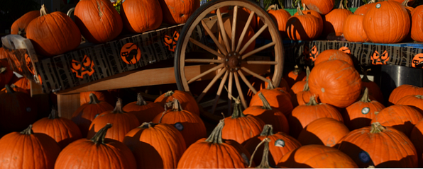Knask eller knep? Installer Spooky Halloween Windows Temaer og lydeffekter / Windows